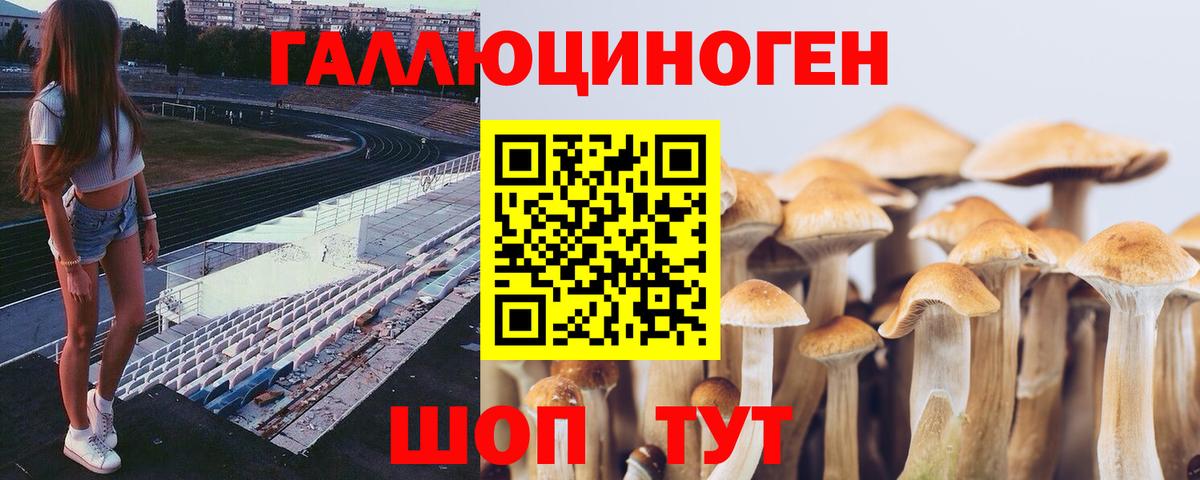 Галлюциногенные грибы GOLDEN TEACHER Магнитогорск